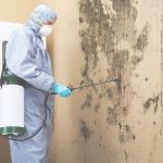 Mold Removal & Remediation Anaheim, CA