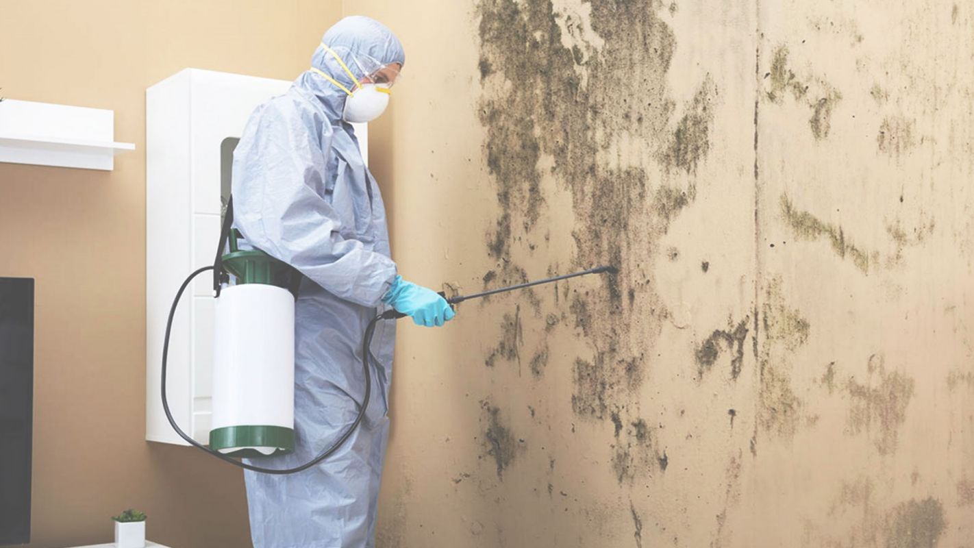 Mold Removal & Remediation Anaheim, CA